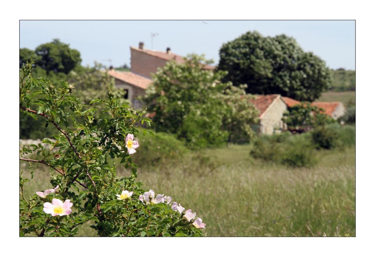 Le Mas De La Chadeniere Villeneuve-de-Berg Exterior foto